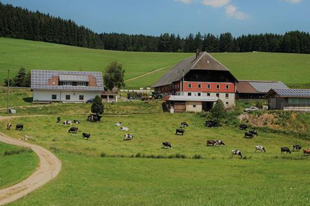 Bauernhofidylle im Schwarzwald